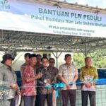 PLN Peduli Salurkan Program Budidaya Lele Bioflok di Tulang Bawang Barat, Dorong Ekonomi dan Ketahanan Pangan