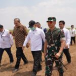 KSP Dudung Datang ke Register 44, Panen Tebu Kembali Berjalan