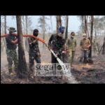 Karhutla Way Kambas Belum Padam, Api di Lahan Gambut Kembali Menyala