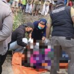 Identitas Wanita Tewas di Kebun Sawit Mesuji Terungkap, Polisi Lacak Pria Berinisial J